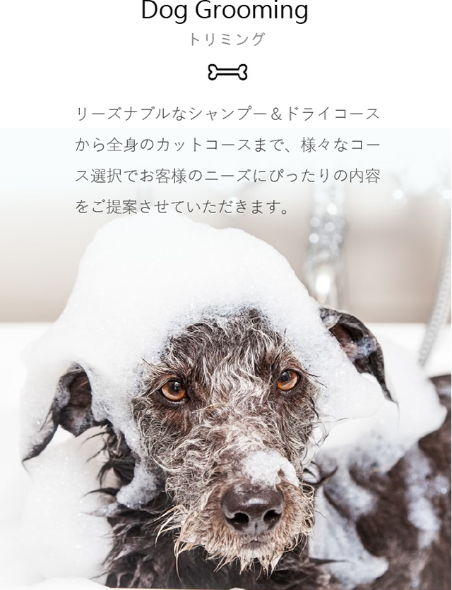 リーズナブルなシャンプー＆ドライコースから全身のカットコースまで、様々なコース選択でお客様のニーズにぴったりの内容をご提案させていただきます。