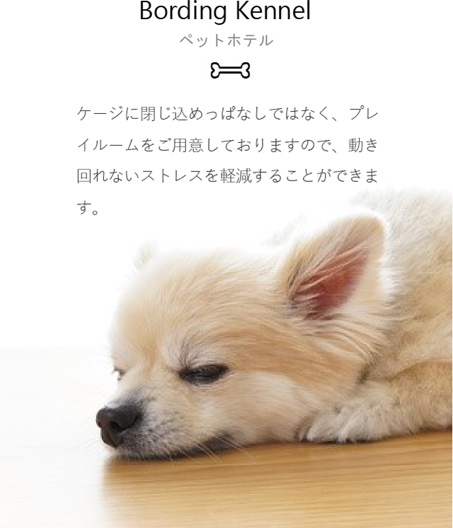 ケージに閉じ込めっぱなしではなく、プレイルームをご用意しておりますので、動き回れないストレスを軽減することができます。